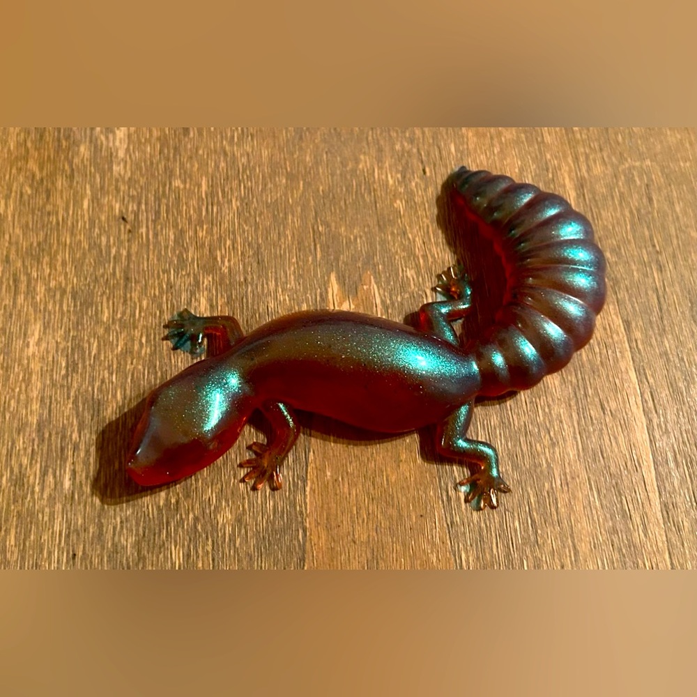 Lezards - Picture 6 of 7